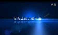 自力式压力调节阀